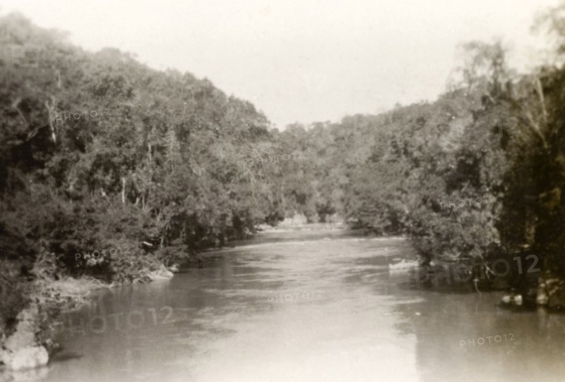 Salween River, Burma (Myanmar). Trees crowd the banks of Salween River as it flows through Shan State. Tahsai, Burma (Myanmar), December 1928. Tahsai, Shan, Burma (Myanmar), South East Asia, Asia.