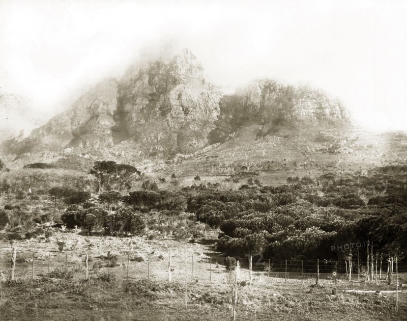 Lion's Head mountain peak. View of Lion's Head mountain peak, taken from the grounds of Groote Schuur estate. Cape Town, South Africa, circa 1898. Cape Town, West Cape, South Africa, Southern Africa, Africa.