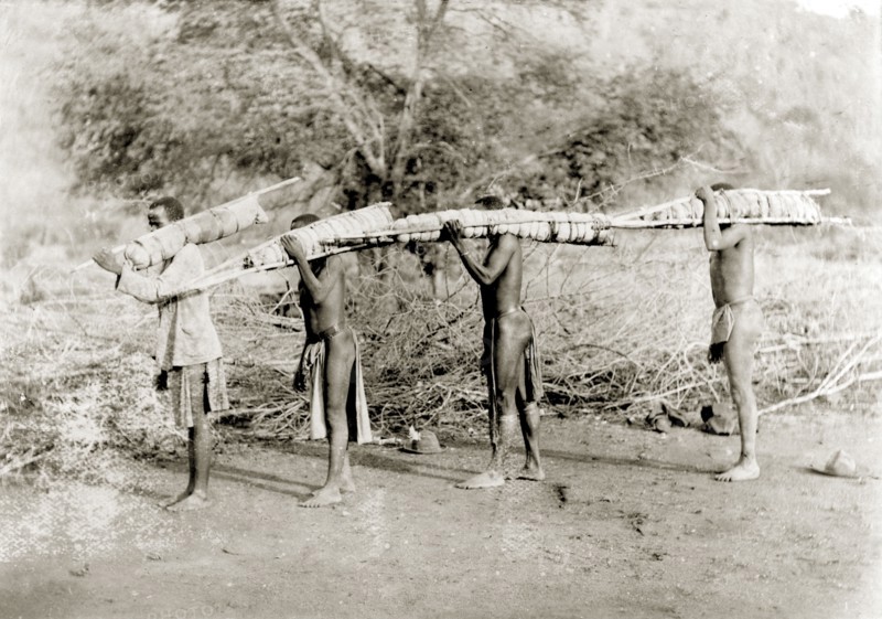 African porters, Rhodesia. Four African porters walk in line, carrying long bundles tied to poles over their shoulders. Probably Rhodesia (Zimbabwe), circa 1897. Zimbabwe, Southern Africa, Africa.