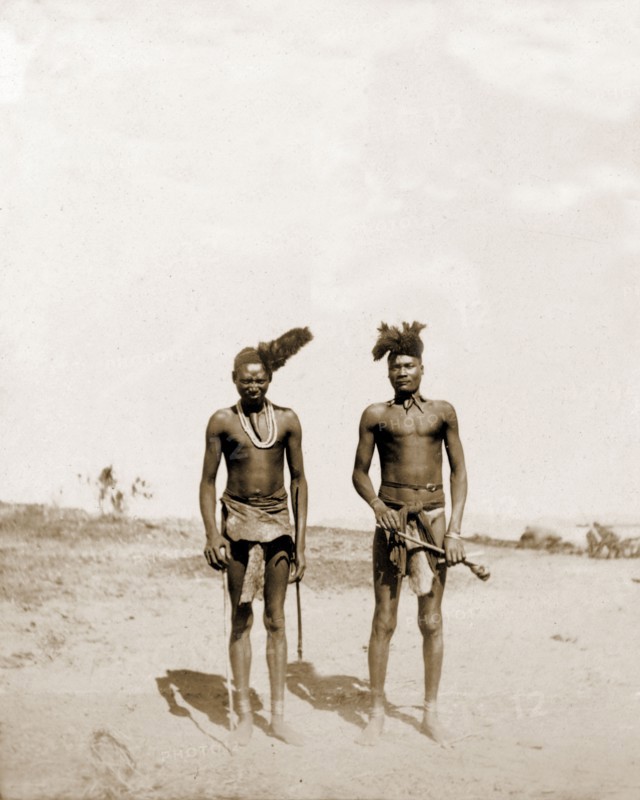 Portrait of two Matabele indunas. Portrait of two Matabele (Ndebele) indunas (chiefs), semi-naked and wearing feathered headdresses at an indaba (council) with Cecil Rhodes. Rhodes and his comrades travelled unarmed into the Matapos Hills for three such indabas and successfully negotiated an end to the Matabele rebellion. Near Bulawayo, Rhodesia (Zimbabwe), circa August 1896., Matabeleland North, Zimbabwe, Southern Africa, Africa.