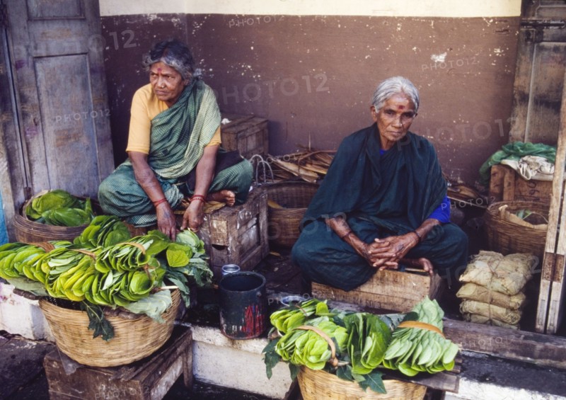 Selling betel leaves at an Indian market. A pair of elderly women sit cross-legged on two wooden fruit boxes, selling bundles of betel leaves from baskets at an outdoor market. Mysore, Karnataka, India, circa 1985. Mysore, Karnataka, India, Southern Asia, Asia.