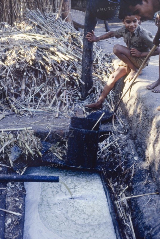 Collecting raw sugar cane juice, India. A young boy watches as raw sugar cane juice runs from a pipe into a trough, ready to be reduced into syrup. Used, cut sugar canes lie on the ground in a heap behind him. Goa, India, circa 1985., Goa, India, Southern Asia, Asia.