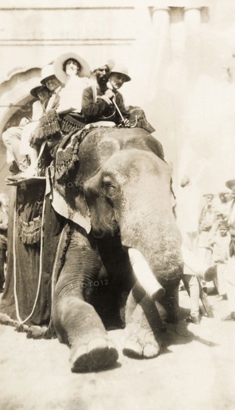Europeans take an elephant ride, India. A group of smiling European people sit in a howdah on the back of an elephant as they prepare for a ride. The elephant's mahout (elephant handler) sits on its shoulders, 'ankusha' in hand. Lahore, Punjab, India (Pakistan), 3 April 1920. Lahore, Punjab, Pakistan, Southern Asia, Asia.