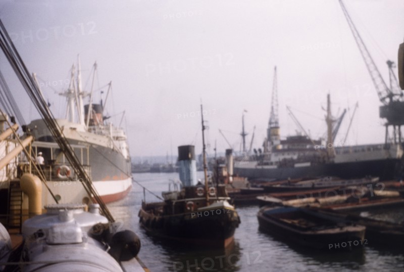 Tilbury Docks. Tugs and other steamships, moored in the River Thames at Tilbury Docks. Tilbury, England, September 1958. Tilbury, Essex, England (United Kingdom), Western Europe, Europe .