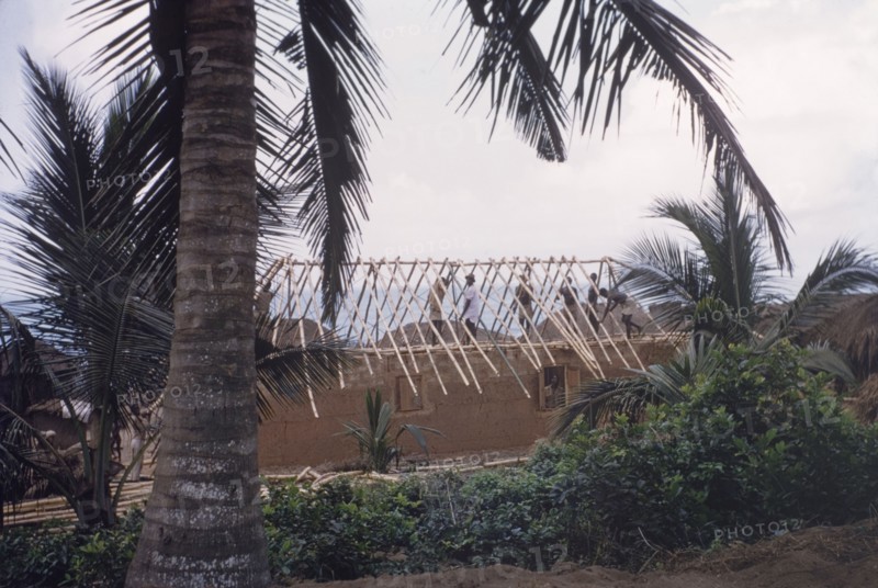 Roofing a 'swish hut'. Construction workers use lengths of bamboo to build the pitched roof of a 'swish hut'. Central Region, Ghana, circa 1958. Cape Coast, Central (Ghana), Ghana, Western Africa, Africa.