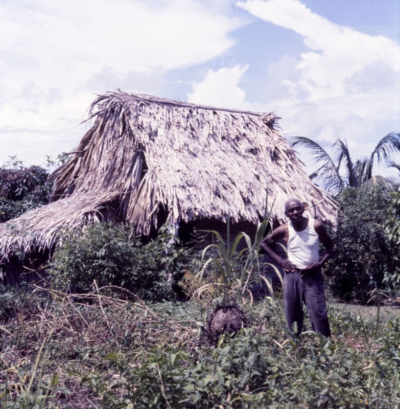 Belizean man at his smallholding. Portrait of a Belizean man, standing outside a thatched roof hut at his smallholding. Belize, circa 1975. Belize, Central America, North America .