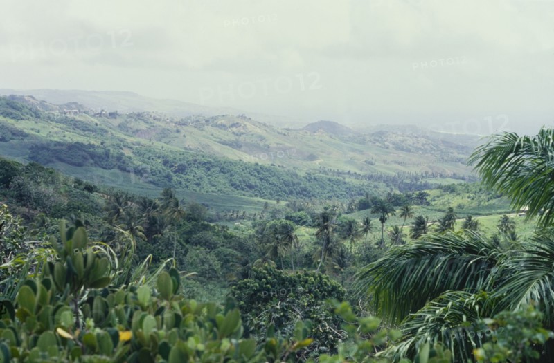 The highlands and forests of Barbados. View across some of the highlands and forests of Barbados, featuring gentle slopes and lush vegetation. Barbados, circa 1975. Barbados, Caribbean, North America .