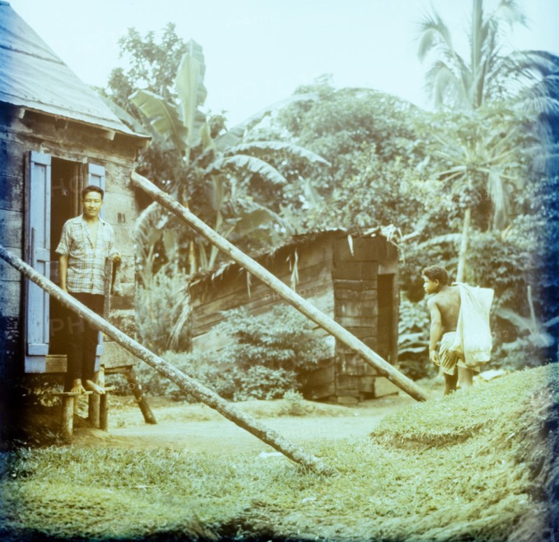 Rural housing in Dominica. A Dominican man stands in the doorway of a wooden house on stilts as a second figure walks away from the camera towards an outbuilding with a sack slung over his shoulder. Dominica, circa 1975. Dominica, Caribbean, North America .