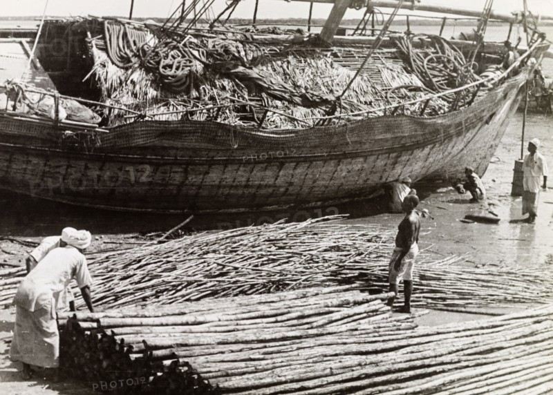 The exportation of mangrove poles. Men load mangrove poles onto a dhow, ready for exportation to the Persian Gulf. An original caption comments that the dhow will depart when the "right monsoon blows - a trad(ition) which (has) scarcely changed for at least 8,000 years". Lamu, Kenya, 1947. Lamu, Coast, Kenya, Eastern Africa, Africa.