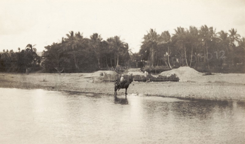 Crossing the Ozama River. A traveller on horseback crosses the Ozama River. Santo Domingo, Dominican Republic, circa 1913. Santo Domingo, Santo Domingo, Dominican Republic, Caribbean, North America .