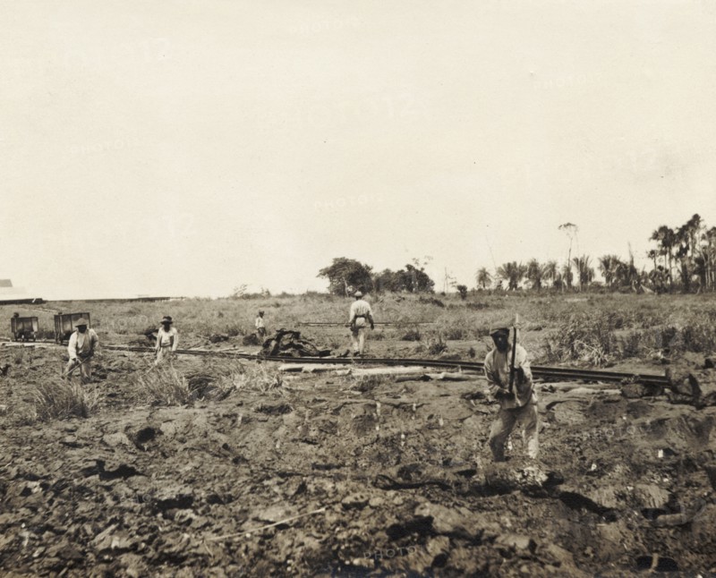Labourers dig asphalt at the Pitch Lake. Labourers use pickaxes to extract lumps of asphalt from the Pitch Lake, a natural asphalt lake located on Trinidad's west coast. La Brea, Trinidad, circa 1912. La Brea, Trinidad and Tobago, Trinidad and Tobago, Caribbean, North America .