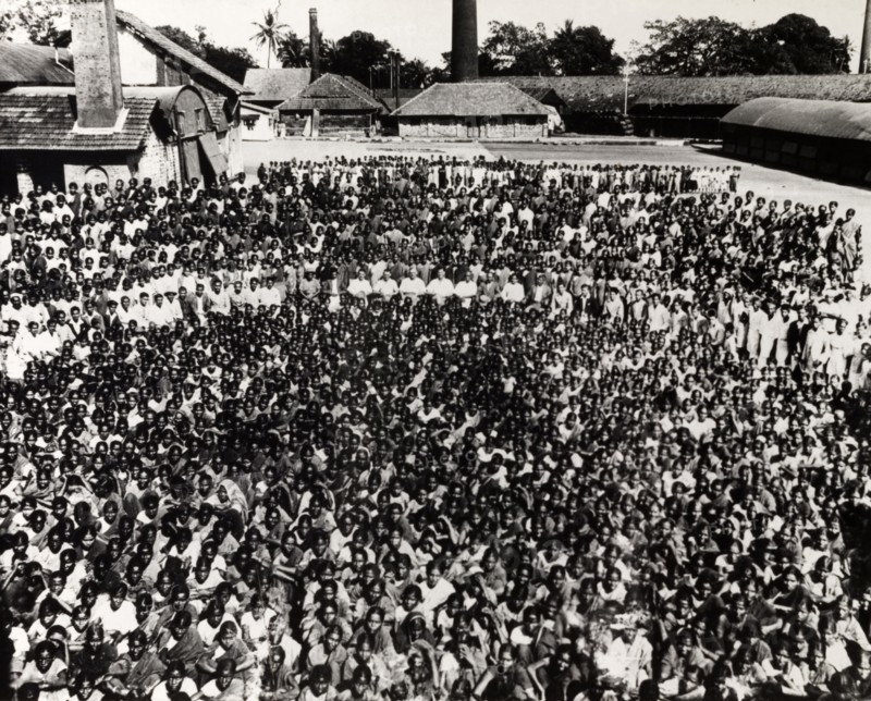 Steel Brothers' workforce. A huge group photograph of the largely Indian workforce at Steel Brothers & Co. Ltd., the majority of whom appear to be women and children. A small group of British directors are just visible, seated at the centre of the crowd. Probably India, circa 1935. India, Southern Asia, Asia.