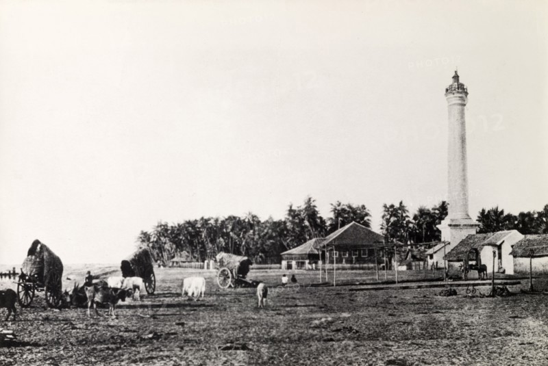 A rural landscape in Burma (Myanmar). A tall pillar-like structure, possibly a lighthouse, punctuates the skyline of a rural landscape. Oxen from three cattle-drawn carts have been un-tethered to graze freely. Probably Burma (Myanmar), circa 1910. Burma (Myanmar), South East Asia, Asia.
