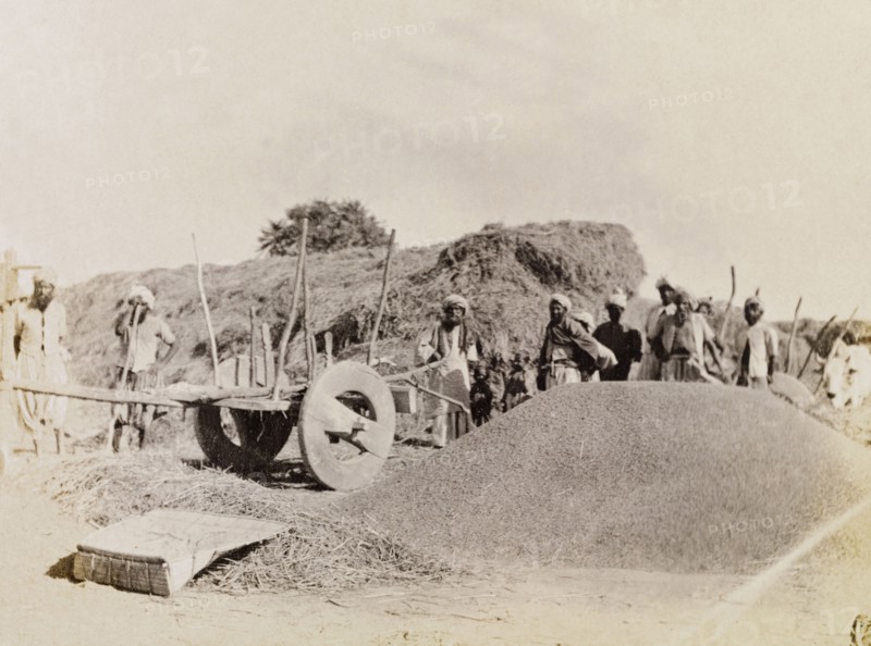 Indian farm labourers in Sukkur. Indian farm labourers pause to stare at the camera beside a large haystack and a heap of winnowed grain. Sukkur, Sind, India (Sindh, Pakistan), circa 1908. Sukkur, Sindh, Pakistan, Southern Asia, Asia.