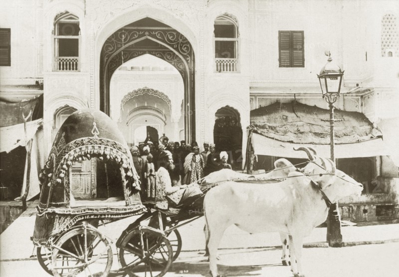 An ornate cattle-drawn carriage. An ornately covered carriage drawn by two bullocks waits outside a grand archway where a crowd of well-dressed Indian dignitaries are assembled. India, circa 1910. India, Southern Asia, Asia.