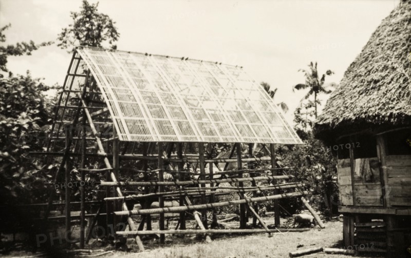 Constructing a Samoan 'fale'. Scaffolding surrounds a partially constructed Samoan 'fale' (house), a thatched structure supported by upright beams. Western Samoa (Samoa), circa 1956. Samoa, Pacific Ocean, Oceania.