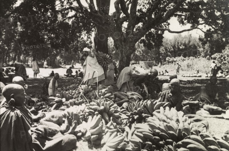 Plantain stall at Karatina market . Kikuyu traders display large bunches of plaintains on a stall at Karatina market. South Nyeri, Kenya, 1936. Nyeri, Central (Kenya), Kenya, Eastern Africa, Africa.