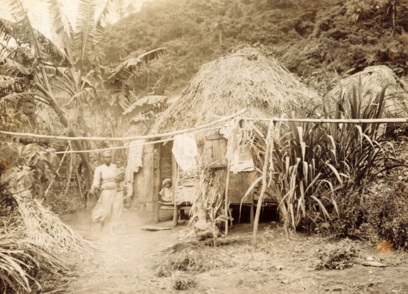A domestic dwelling in St Vincent. A woman and children appear at the doorway of a thatched hut, which is set in a clearing amidst tropical vegetation. St Vincent, circa 1902. St Vincent and the Grenadines, Caribbean, North America .