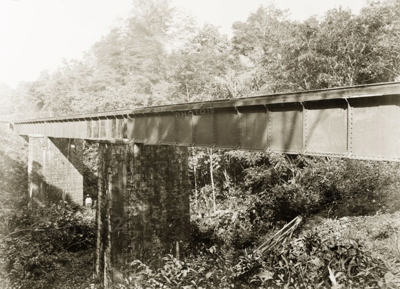 Railway bridge crossing Dabadie ravine, Trinidad. View of a Trinidad Government Railway bridge crossing Dabadie ravine. Trinidad, circa 1912., Trinidad and Tobago, Trinidad and Tobago, Caribbean, North America .