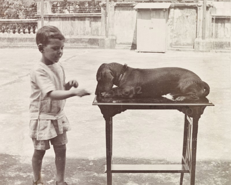 James Murray with pet dachshund. Six year old James Murray shows off his prize-winning dachshund, Hunden, at a dog show in Calcutta. Calcutta (Kolkata), India, 1912. Kolkata, West Bengal, India, Southern Asia, Asia.
