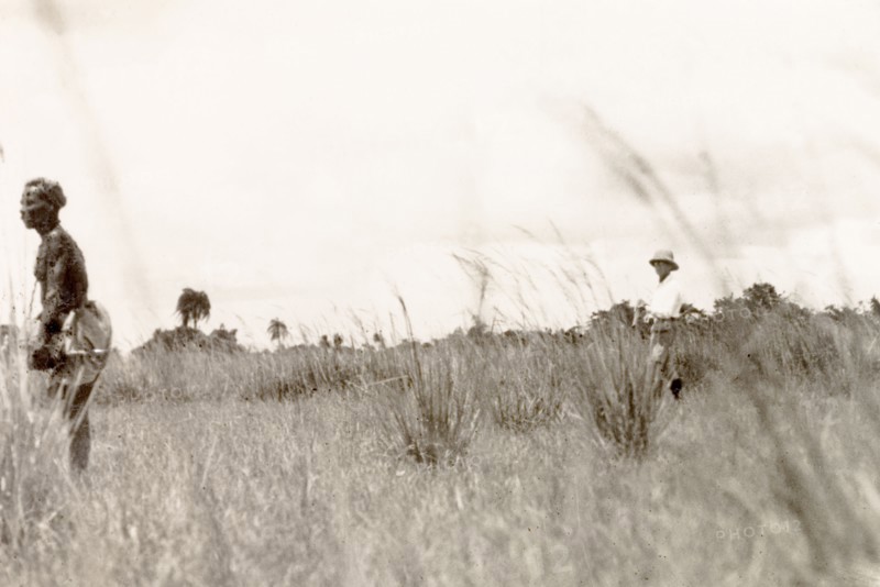 Snipe hunting in paddy fields, Calcutta. James Murray goes snipe hunting with a 'shikari' (hunter) in the paddy fields or 'jeels' on the outskirts of Calcutta. Calcutta (Kolkata), India, 1931. Kolkata, West Bengal, India, Southern Asia, Asia.