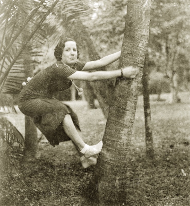 Mavis climbs a palm tree, Calcutta. A British woman called Mavis stifles a laugh as she tries to climb a palm tree without shoes. Calcutta (Kolkata), India, October 1934. Kolkata, West Bengal, India, Southern Asia, Asia.