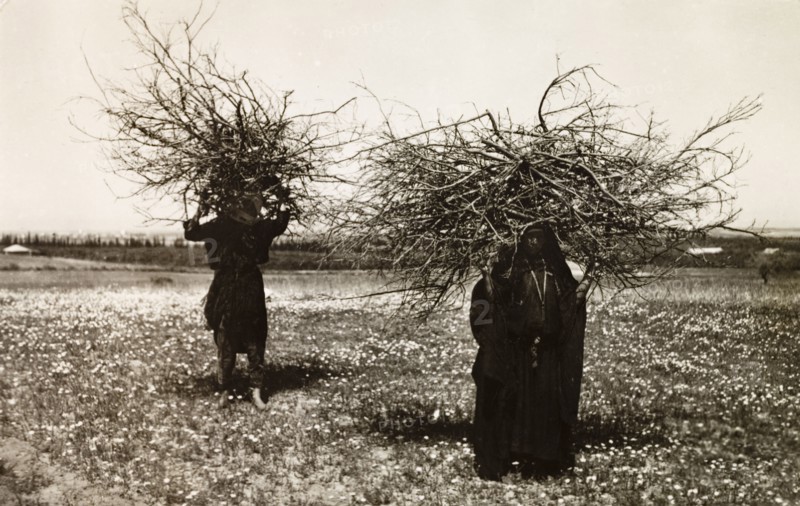 Bedouin couple carrying firewood. A bedouin couple cross a flowery field under the burden of two large bundles of firewood they balance on their heads. British Mandate of Palestine (Middle East), circa 1942., Middle East, Asia.