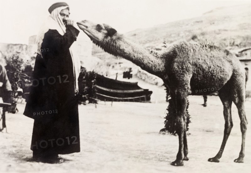 A curious camel. An Arab man in traditional Arab dress poses with an inquisitive camel. British Mandate of Palestine (Middle East), circa 1938., Middle East, Asia.