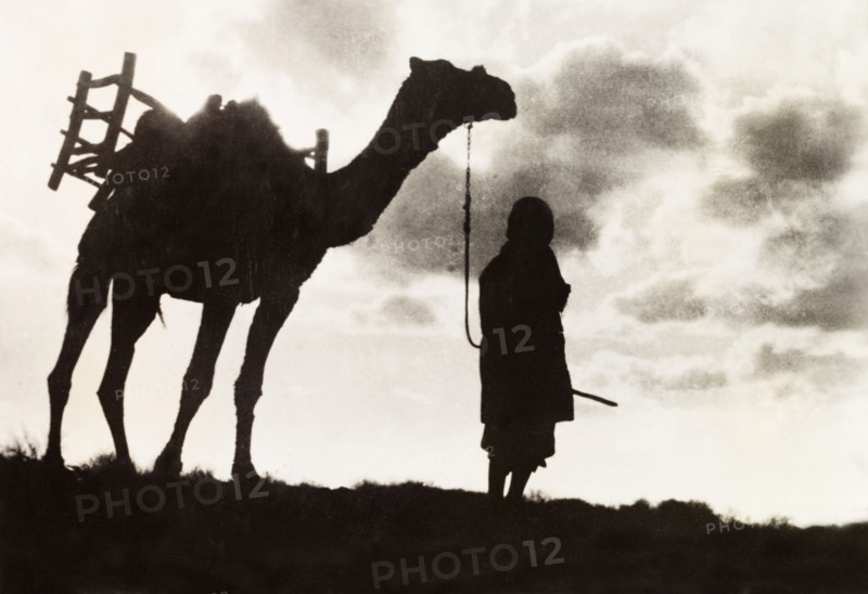 Silhouetted man and camel. The figure of a Arab man leading a camel along a ridge is silhouetted in the evening sun. British Mandate of Palestine (Middle East), circa 1938., Middle East, Asia.