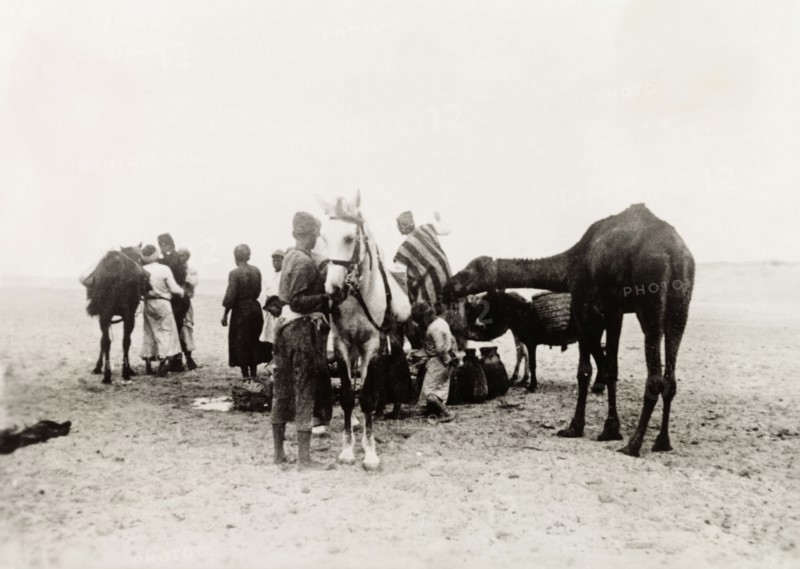 Travellers in the Negev Desert. A group of travellers attend to their horses as they journey through the Negev Desert. South of Be'er Sheva, British Mandate of Palestine (Israel), circa 1938. Be'er Sheva, South (Israel), Israel, Middle East, Asia.