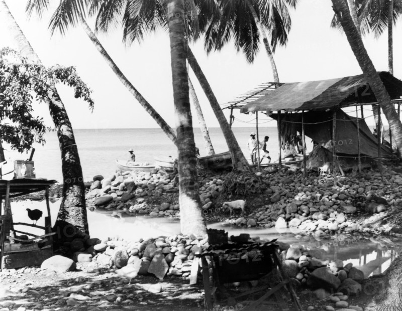 Fishing settlement, Dominica. A fishing settlement on the coast. Dominica, 1965., Dominica, Caribbean, North America .