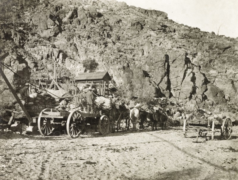 Outside Red Cloud gold mine. A team of donkeys and horses wait, harnessed to an empty cart, at Red Cloud gold mine in the Chuckwalla Mountains. Southern California, United States of America, March 1902., California, United States of America, North America, North America .