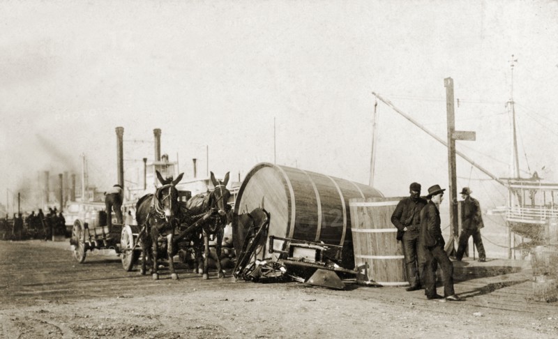On the levee, New Orleans. A mule-drawn cart travels along a levee on the banks of the Mississippi River, which is lined with the tall masts of moored steamships and boats. New Orleans, United States of America, March 1902. New Orleans, Louisiana, United States of America, North America, North America .