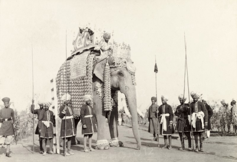 The State Elephant of Patiala. The caparisoned state elephant of Patiala carries an ornate howdah on its back as it takes part in the state entry procession at the Coronation Durbar. An original caption comments that it was the largest state elephant in India, reaching a height of 18 feet. Delhi, India, circa 1 January 1903. Delhi, Delhi, India, Southern Asia, Asia.