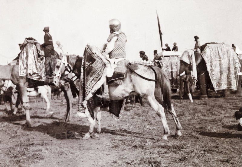 Drum horse at Coronation Durbar, 1903. An Indian soldier rides a drum horse during a procession at the Coronation Durbar, playing a drum cloaked in a standard. Delhi, India, circa 1 January 1903. Delhi, Delhi, India, Southern Asia, Asia.