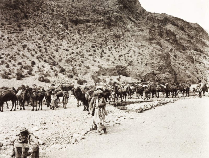 Caravan of camels on Khyber Pass. A caravan of camels travel along the Khyber Pass. An original caption comments that 'many hundreds of camels (and) donkeys pass in one long procession twice a week under guard of Afridi soldiers'. North West Frontier Province, India (Pakistan), February 1903., North West Frontier Province, Pakistan, Southern Asia, Asia.