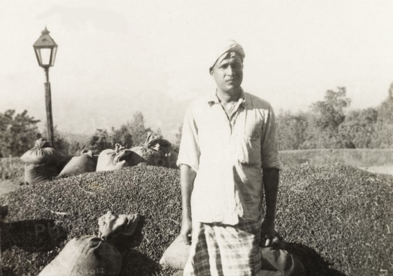 Manager of a coffee plantation. The manager of a coffee plantation stands posing beside a large pile of coffee beans that have been laid out in the sun to dry. Mysore State (Karnataka), India, 1937., Karnataka, India, Southern Asia, Asia.