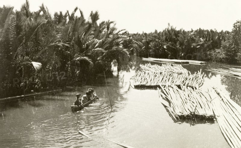 Palm oil plantation, Indonesia. A canoe travels downriver near a palm oil plantation, past bundles of floating palm trunks awaiting transportation to a nearby factory. Makassar, Celebes (Sulawesi), Indonesia, 1940. Makassar, Sulawesi, Indonesia, South East Asia, Asia.