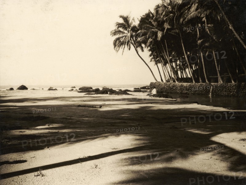 Palm trees on Cannanore beach. Palm trees line a sandy beach at Cannanore. Cannanore (Kannur), Kerala, India, circa 1936. Kannur, Kerala, India, Southern Asia, Asia.