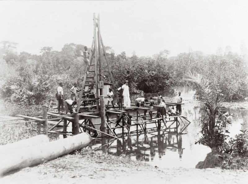 Driving piles into the water. On a wooden scaffolding structure built around a pile driver next to a shore, at least nine people, some of which are men, some younger boys are standing or climbing. On the bank lie two tree trunks prepared as piles with iron hoops around the tops to protect the stuck surface from splitting. Nigeria. 1911. Nigeria, Western Africa, Africa.