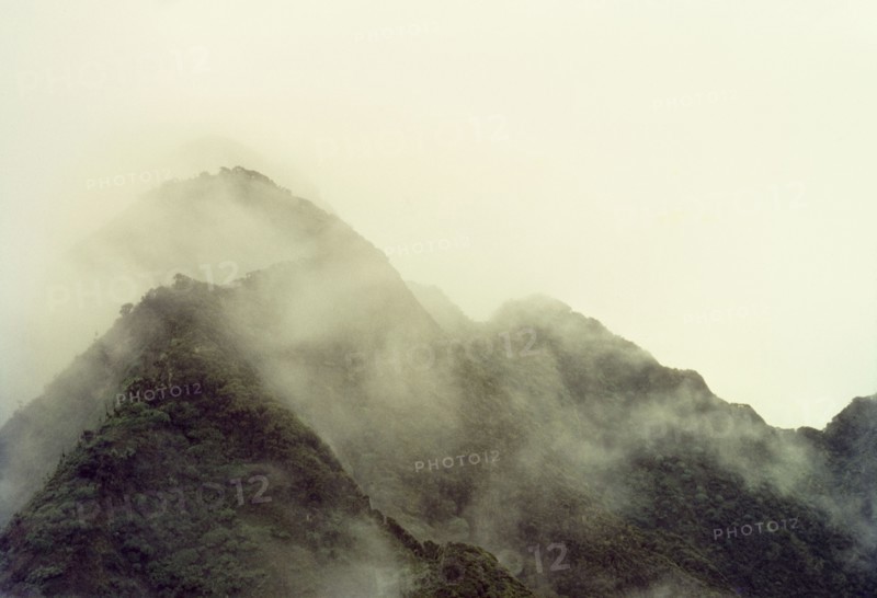 Mount Sabinyo in cloud. The summit of Mount Sabyinyo (Sabinio) enshrouded by clouds. Kigezi, South West Uganda, September 1963., West (Uganda), Uganda, Eastern Africa, Africa.