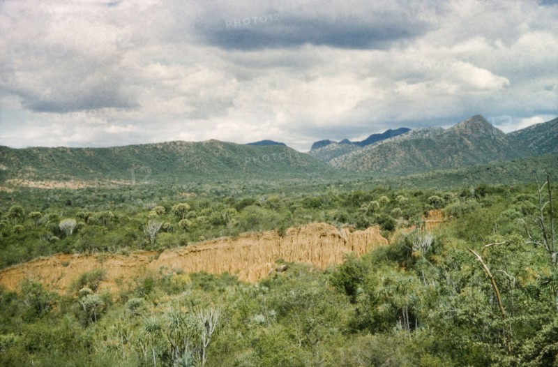 Erosion in Karasuk . Severe erosion caused by rare rainfall in Karasuk on the Kenya-Uganda border. A related caption comments: "If this soil were ever cultivated it would wash into (the Kenyan district of) Turkana". Kenya, May 1959., East (Uganda), Uganda, Eastern Africa, Africa.