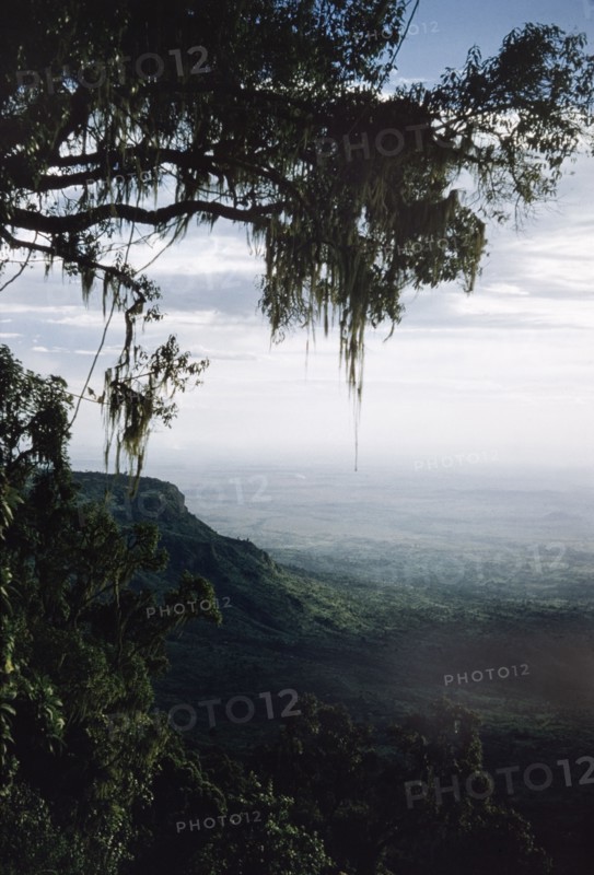 Descent from Mount Elgon. View south west from the lower slopes of Mount Elgon. An original caption comments: "Every opportunity was taken to climb the mountains of East Africa. This was an expedition at Christmas 1955 with George Webb, (Assistant District Officer of) Kakamega. We took no porters, but George carried a rifle because of the (perceived) threat of Mau Mau on the mountain". East Uganda, 26 December 1955., East (Uganda), Uganda, Eastern Africa, Africa.