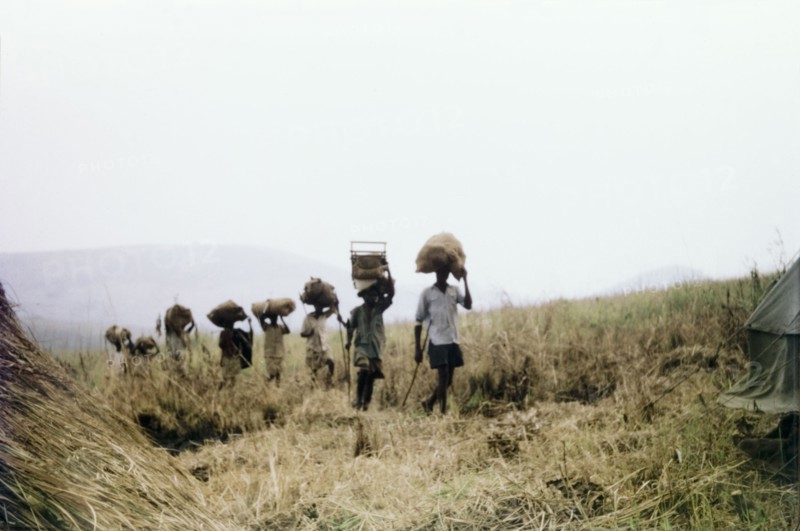 Porters arrive in camp'. A line of porters arrives with supplies at a forest boundary survey camp in the Kibale Forest. West Uganda, June 1957., West (Uganda), Uganda, Eastern Africa, Africa.