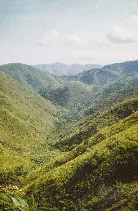 Rwenzori foothills'. A green valley in the Rwenzori (Ruwenzori) foothills. West Uganda, 1957., West (Uganda), Uganda, Eastern Africa, Africa.