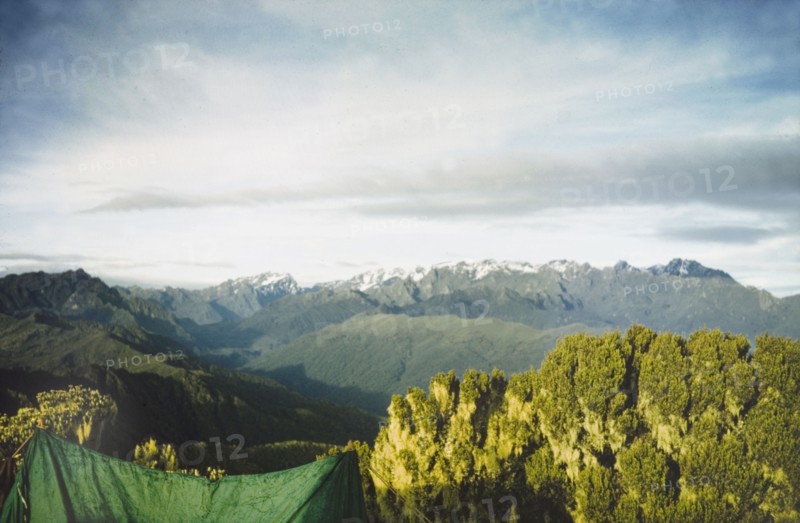 Snow-capped peaks of Rwenzori . View from a forestry survey camp of snow-capped peaks in the Rwenzori (Ruwenzori) Range. West Uganda, 1957., East (Uganda), Uganda, Eastern Africa, Africa.