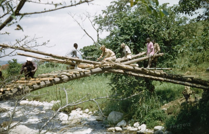 Bridge-building in Kyarumba. Helped by members of the local community, a British Forestry Officer works on the construction of a new footbridge across a river in Toro. According to an original caption, the bridge was built as part of a community development project supported by the District Forest Office. Kyarumba, West Uganda, 1956., West (Uganda), Uganda, Eastern Africa, Africa.