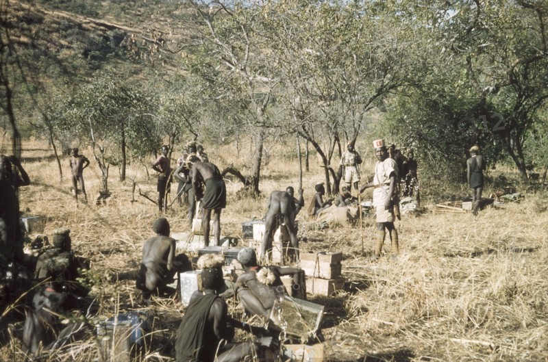 Porters on safari to Mount Napak. Supervised by an askari (soldier), a group of porters ready their loads during a safari to Mount Napak in Karamoja with a British forestry survey team. North East Uganda, December 1958., East (Uganda), Uganda, Eastern Africa, Africa.