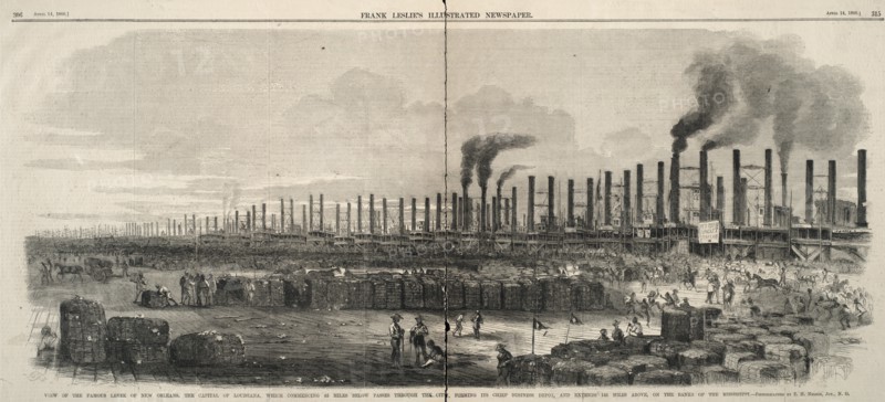 View of the famous levee of New Orleans 1860. Created by Frank Leslie
