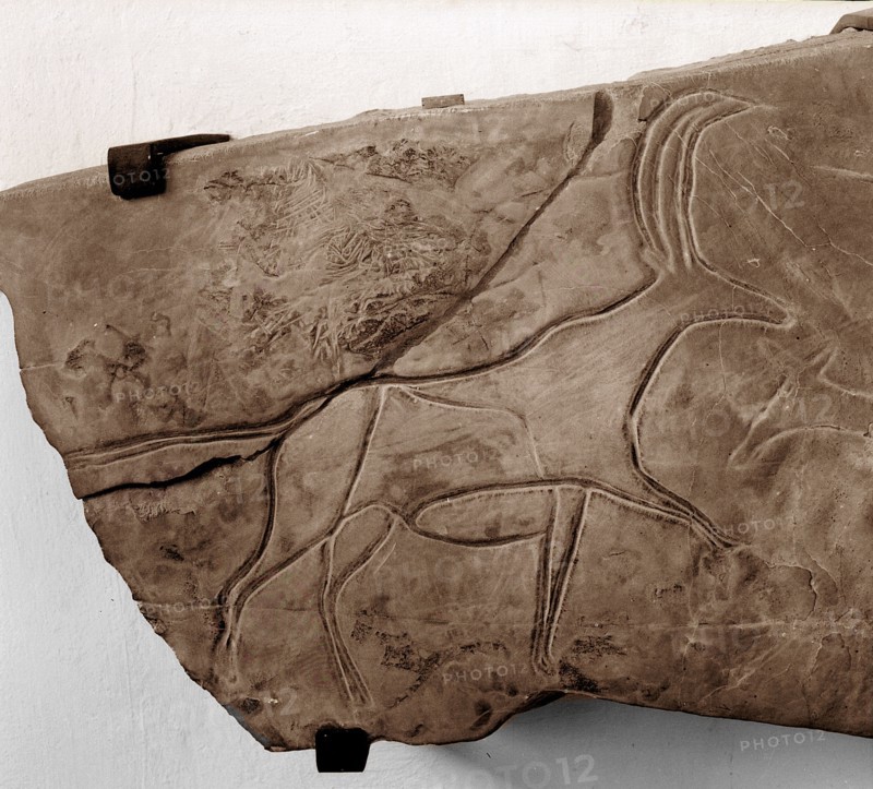 Stone Age rock engraving of a bull, possibly from the Cattle Period (4,000   2,000 BC)
